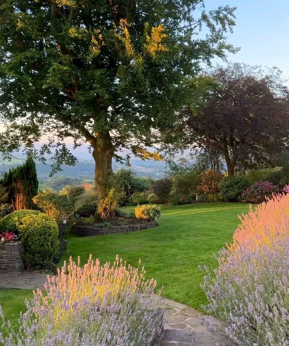 Il lavoro de L'esperto Giardiniere tra il verde